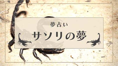 【夢占い】サソリの夢は凶夢？刺される/追い払う/退。